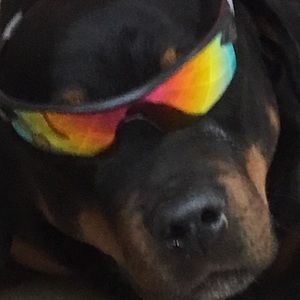 Meet your Posher, Corinne